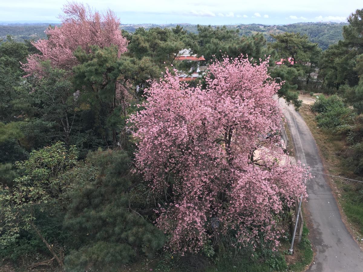 Orange Homestay Шиллонг Екстер'єр фото